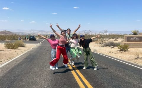 d510b364e6fe91874f8bc8a93dc09f7c